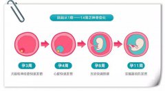 早孕试纸2道杠，难道是怀孕了？来重庆安琪儿医院做个早孕检查一查便知！